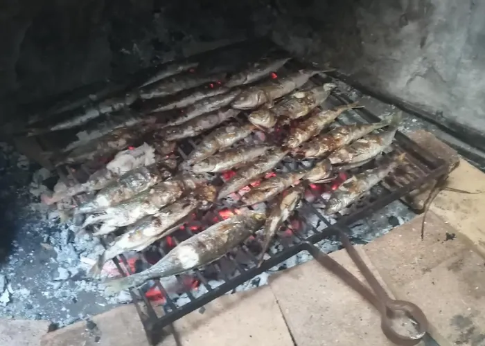 Guest house Alanis 3*